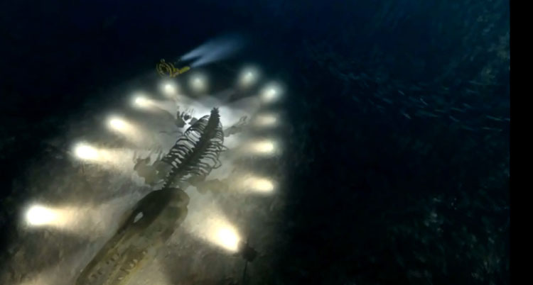 发现海底有巨庞大的龙骨尸体.jpg