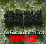 煤的形成
